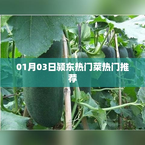 第1041頁