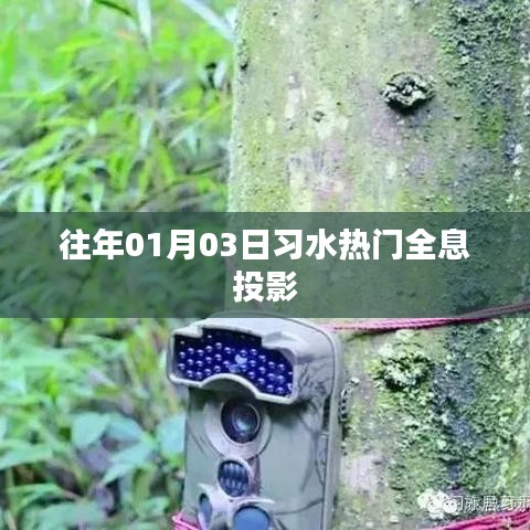 習(xí)水熱門全息投影，歷年一月初上演的視覺盛宴