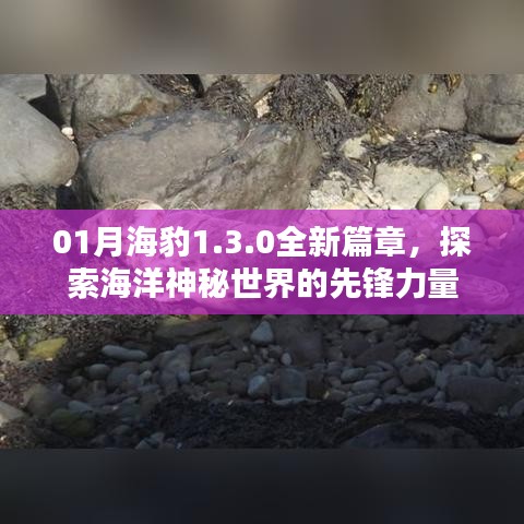 探索海洋新篇章，海豹1.3.0引領(lǐng)神秘之旅