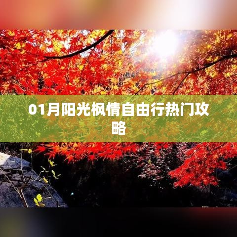 一月陽光楓情自由行攻略大全