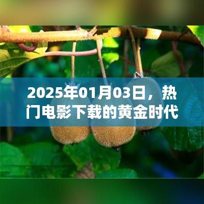 熱門電影下載黃金時代，2025年展望