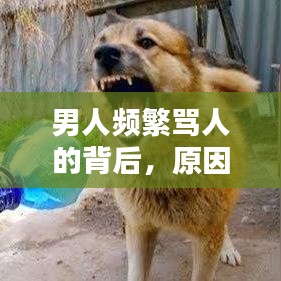 設(shè)備概述 第45頁