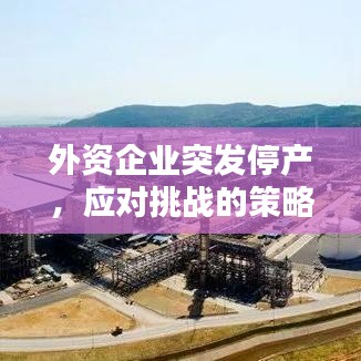 外資企業(yè)突發(fā)停產(chǎn)，應(yīng)對挑戰(zhàn)的策略與啟示