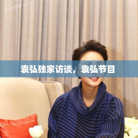袁弘獨(dú)家訪談，袁弘節(jié)目 