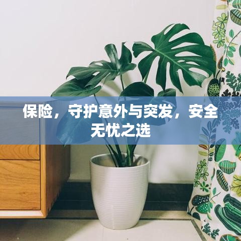 保險(xiǎn)，守護(hù)意外與突發(fā)，安全無憂之選