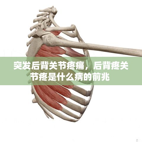 突發(fā)后背關(guān)節(jié)疼痛，后背疼關(guān)節(jié)疼是什么病的前兆 