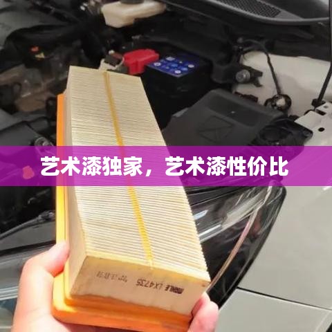 藝術(shù)漆獨(dú)家，藝術(shù)漆性價(jià)比 
