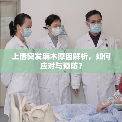 上唇突發(fā)麻木原因解析，如何應(yīng)對(duì)與預(yù)防？