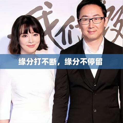 緣分打不斷，緣分不停留 
