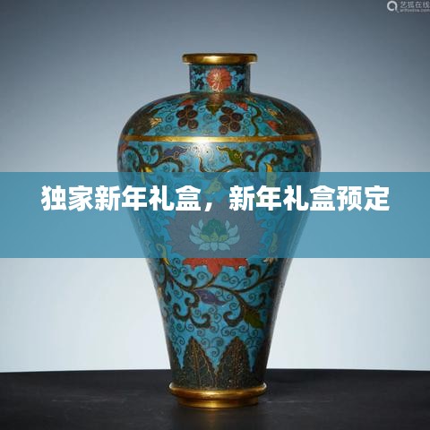 獨(dú)家新年禮盒，新年禮盒預(yù)定 