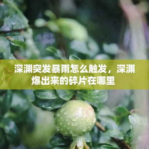 聯(lián)系我們 第40頁