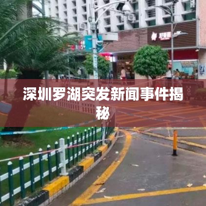 深圳羅湖突發(fā)新聞事件揭秘