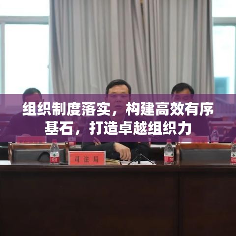 組織制度落實(shí)，構(gòu)建高效有序基石，打造卓越組織力