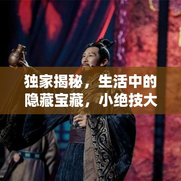 獨(dú)家揭秘，生活中的隱藏寶藏，小絕技大智慧