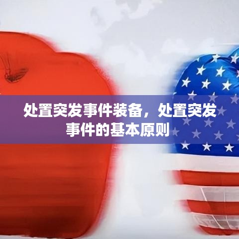 處置突發(fā)事件裝備，處置突發(fā)事件的基本原則 