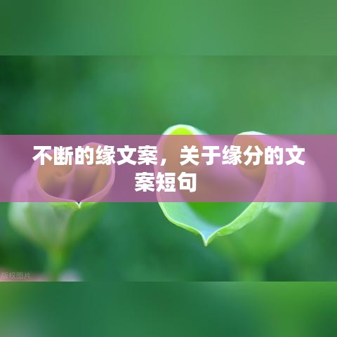 不斷的緣文案，關(guān)于緣分的文案短句 
