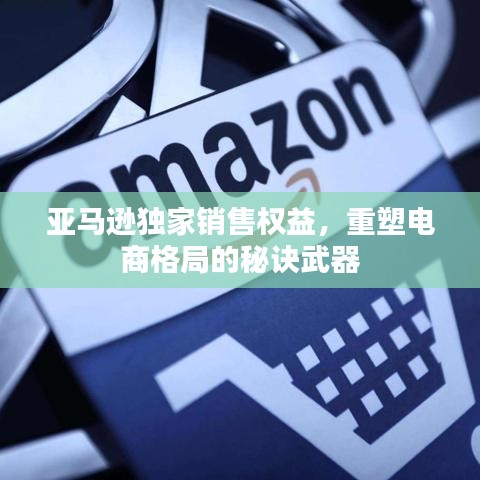 亞馬遜獨(dú)家銷售權(quán)益，重塑電商格局的秘訣武器