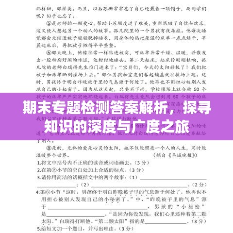 期末專題檢測答案解析，探尋知識(shí)的深度與廣度之旅