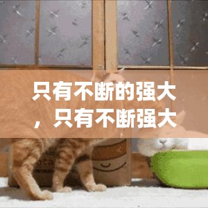 只有不斷的強大，只有不斷強大有能力才 