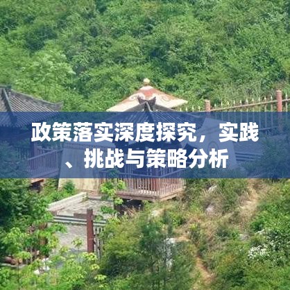 政策落實深度探究，實踐、挑戰(zhàn)與策略分析