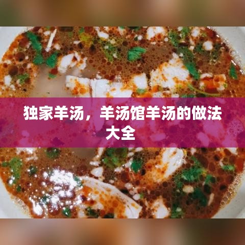 獨家羊湯，羊湯館羊湯的做法大全 