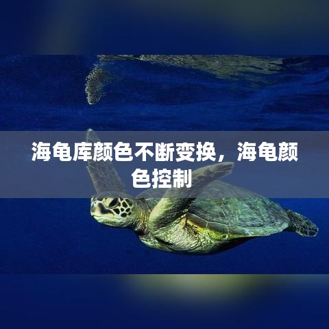 海龜庫(kù)顏色不斷變換，海龜顏色控制 
