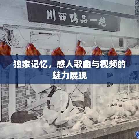 獨家記憶，感人歌曲與視頻的魅力展現(xiàn)