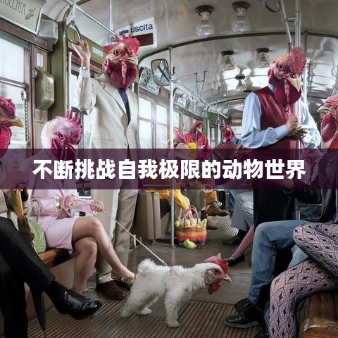 不斷挑戰(zhàn)自我極限的動(dòng)物世界