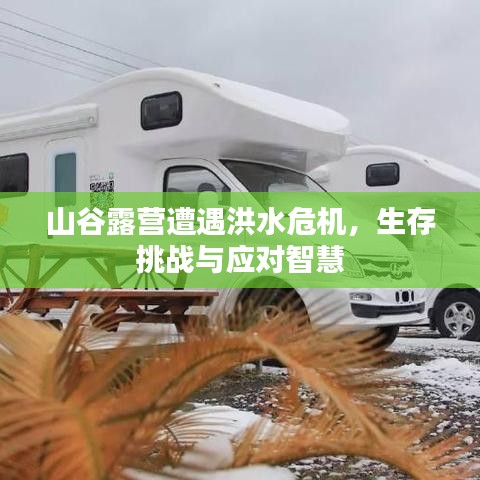 山谷露營(yíng)遭遇洪水危機(jī)，生存挑戰(zhàn)與應(yīng)對(duì)智慧