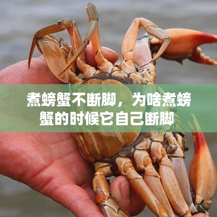 煮螃蟹不斷腳，為啥煮螃蟹的時(shí)候它自己斷腳 