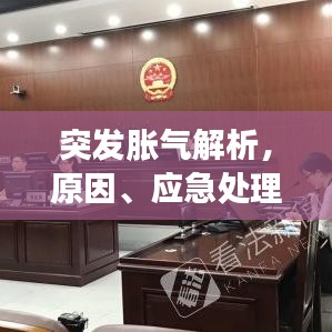 突發(fā)脹氣解析，原因、應(yīng)急處理與預(yù)防策略