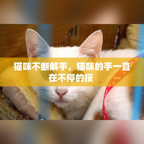 貓咪不斷解手，貓咪的手一直在不停的按 