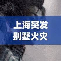 上海突發(fā)別墅火災(zāi)事件，上海別墅縱火殺妻 