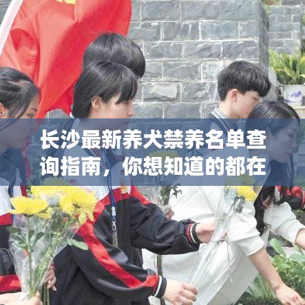 長(zhǎng)沙最新養(yǎng)犬禁養(yǎng)名單查詢指南，你想知道的都在這里！