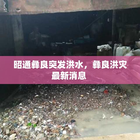 昭通彝良突發(fā)洪水，彝良洪災(zāi)最新消息 