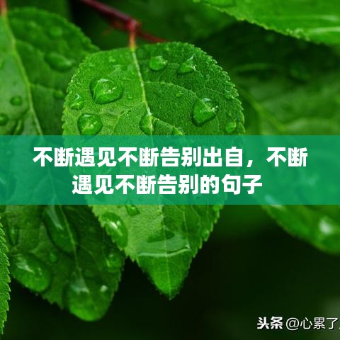 不斷遇見不斷告別出自，不斷遇見不斷告別的句子 