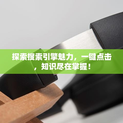 探索搜索引擎魅力，一鍵點(diǎn)擊，知識(shí)盡在掌握！