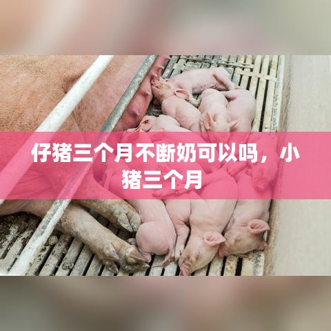 工藝流程 第49頁(yè)