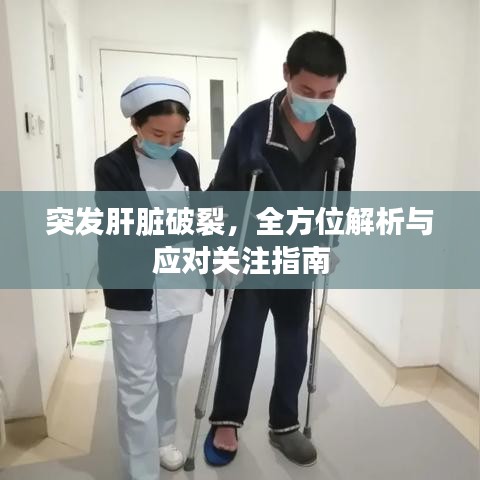 突發(fā)肝臟破裂，全方位解析與應(yīng)對(duì)關(guān)注指南