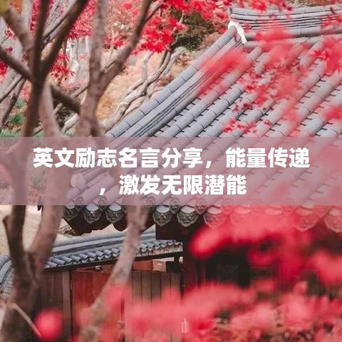 英文勵(lì)志名言分享，能量傳遞，激發(fā)無限潛能