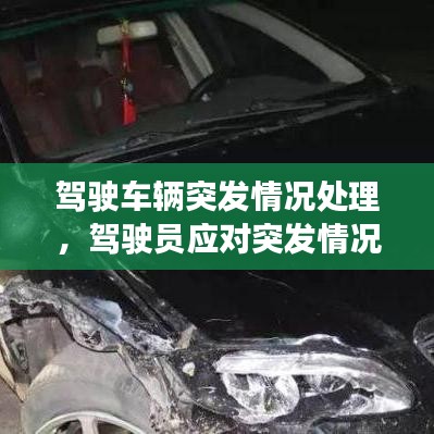 駕駛車輛突發(fā)情況處理，駕駛員應對突發(fā)情況 