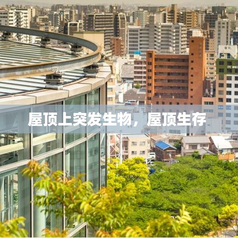 組織架構(gòu) 第39頁(yè)