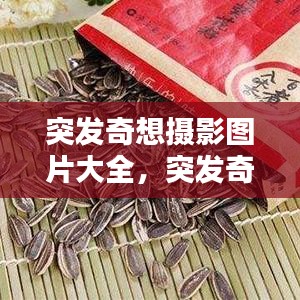 突發(fā)奇想攝影圖片大全，突發(fā)奇想電影 