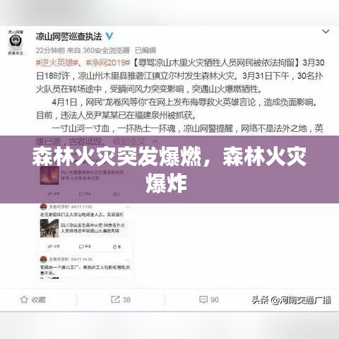 森林火災(zāi)突發(fā)爆燃，森林火災(zāi)爆炸 