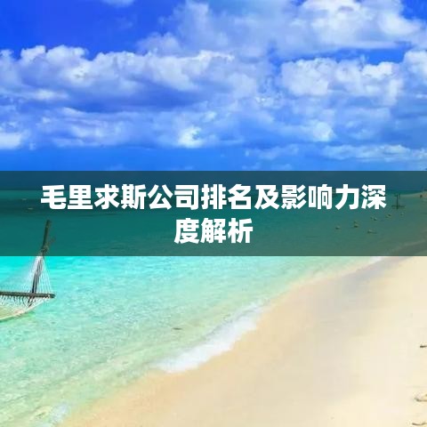 毛里求斯公司排名及影響力深度解析