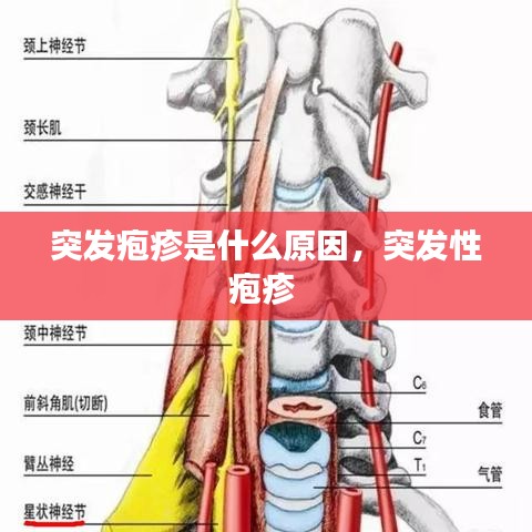 公司簡介 第37頁