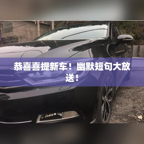 恭喜喜提新車！幽默短句大放送！
