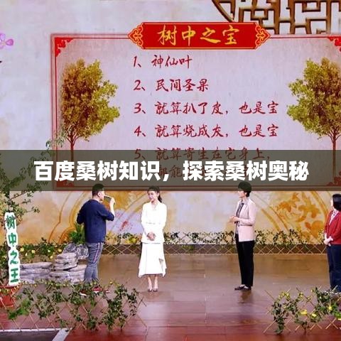 百度桑樹知識(shí)，探索桑樹奧秘