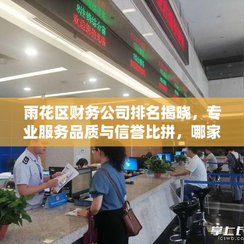 雨花區(qū)財務公司排名揭曉，專業(yè)服務品質與信譽比拼，哪家更勝一籌？