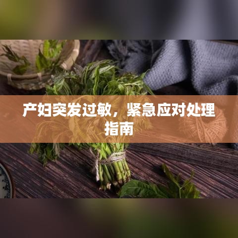 產(chǎn)婦突發(fā)過敏，緊急應(yīng)對(duì)處理指南